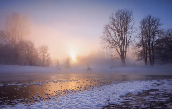 Картинка зима, снег, деревья, река, рассвет, утро, мороз, Россия, Алексей Богорянов, Река Истрак