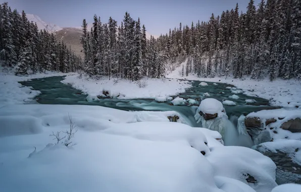 Картинка зима, лес, снег, деревья, река, Канада, Альберта, Alberta, Canada, Jasper National Park, Национальный парк Джаспер, …