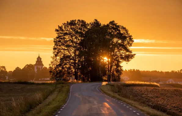Картинка дорога, деревья, восход, рассвет, утро, церковь, Швеция