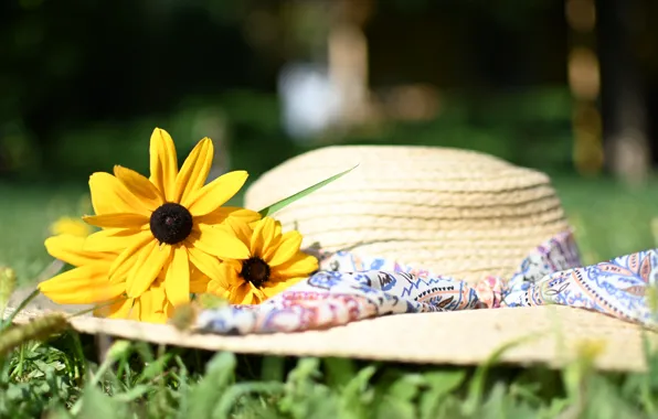 Картинка лето, цветы, шляпа, рудбекия