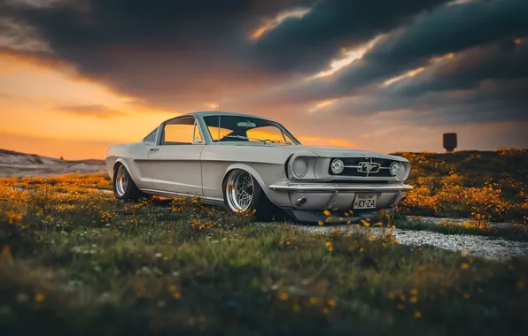 Картинка Mustang, Ford, Shelby, GT350