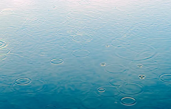 Картинка вода, капли, макро, дождь, rain, water, drops, raindrops