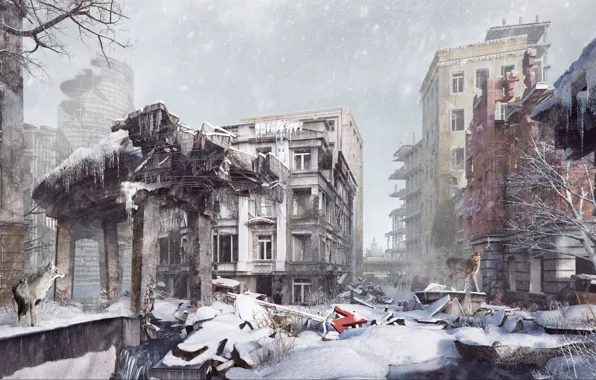 Картинка снег, волк, разрушения, олень, На руинах цивилизации