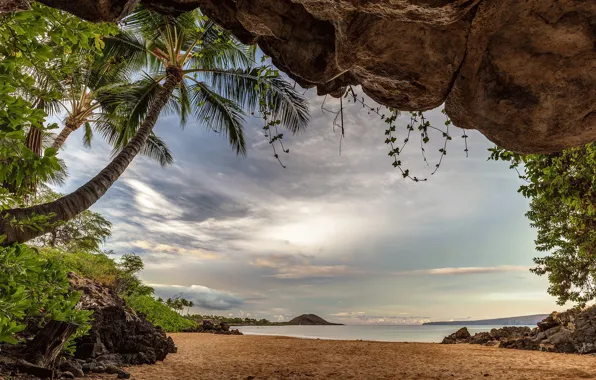 Картинка море, пляж, пальмы, фото, Гаваи