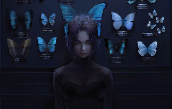 Картинка бабочки, одиночество, коллекция, закрытые глаза, в темноте, черная одежда, клинок рассекающий демонов, Kochou Shinobu, kimetsu …