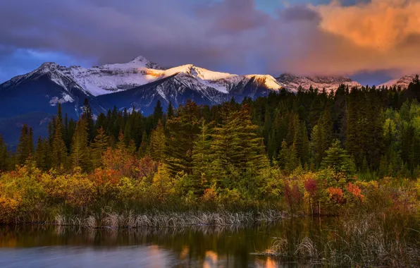 Картинка осень, лес, горы, берег, водоем