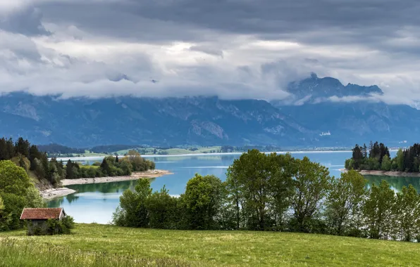 Картинка трава, облака, деревья, горы, озеро, Германия, Бавария, домик, Forggensee