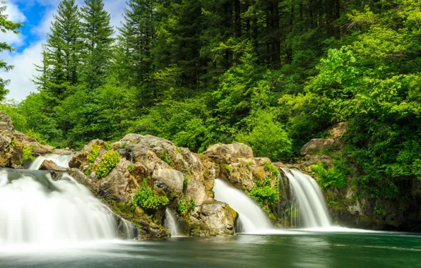 Картинка зелень, лес, солнце, деревья, парк, камни, водопад, США, White River Falls State Park