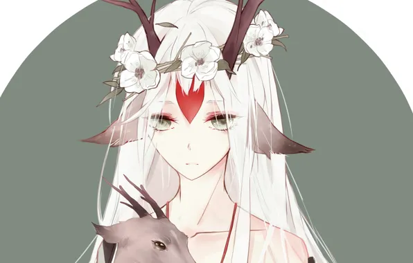 Картинка оленёнок, Deer, Shishio, Onmyouji, Onmyoji, Onmyouji (NetEase)
