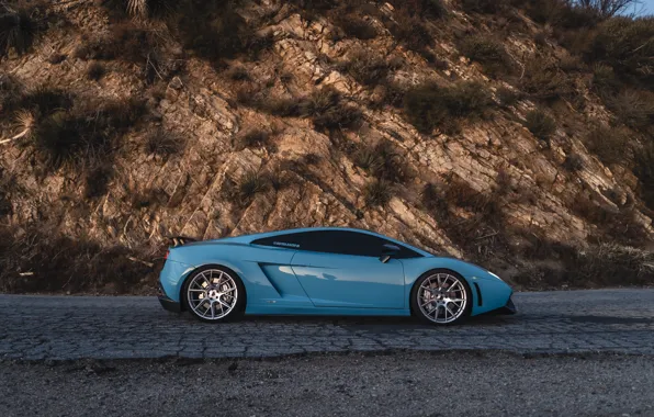 Картинка Lamborghini, Gallardo, side view, LP550-2 MLE