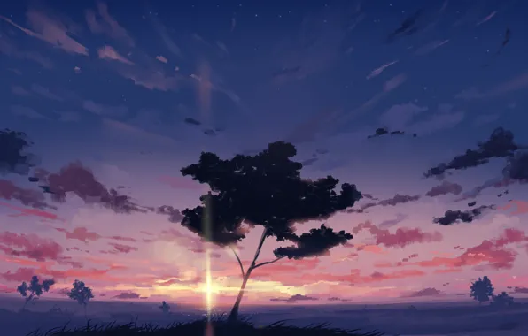 Картинка закат, природа, дерево