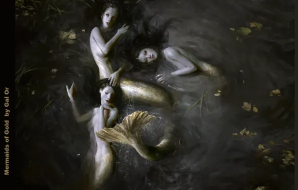 Картинка хвост, русалки, длинные волосы, в воде, чешуйки, три девушки, листья в воде, mermaids, Mermaid of …