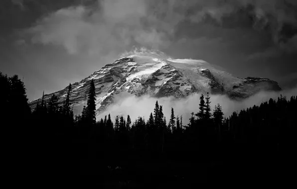 Картинка облака, снег, деревья, горы, природа, туман, скалы, черно-белое, монохром