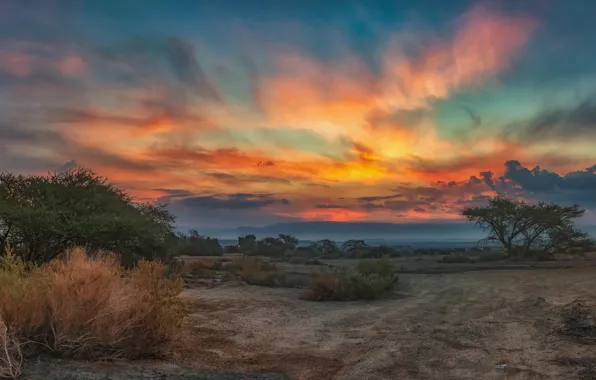 Картинка небо, деревья, закат, Евгений Шварцман