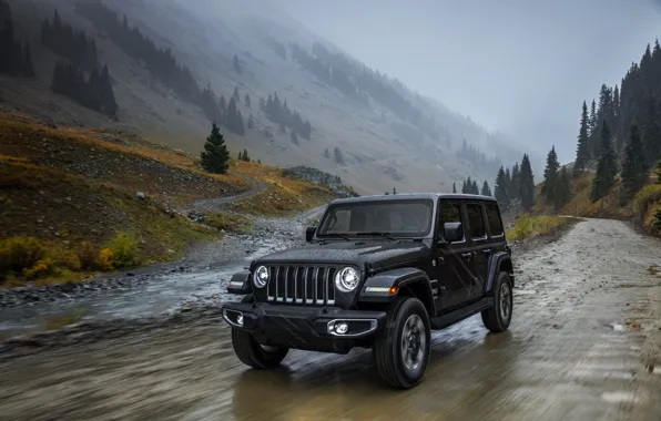 Картинка горы, туман, 2018, сырость, Jeep, тёмно-серый, Wrangler Sahara