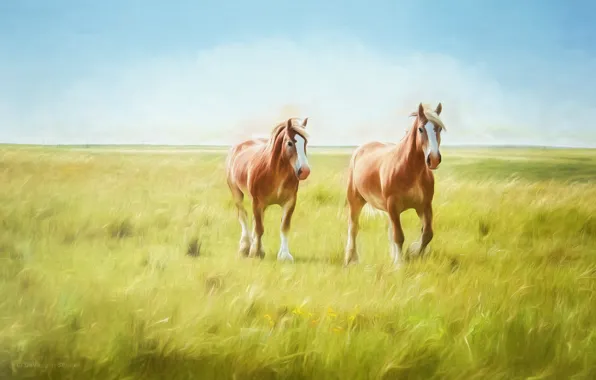 Картинка поле, кони, лошади, арт, пара, живопись, фотоарт, два коня