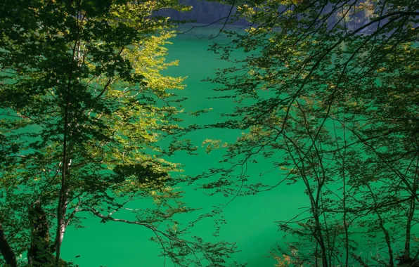 Картинка озеро, Германия, Бавария, Кёнигсзе
