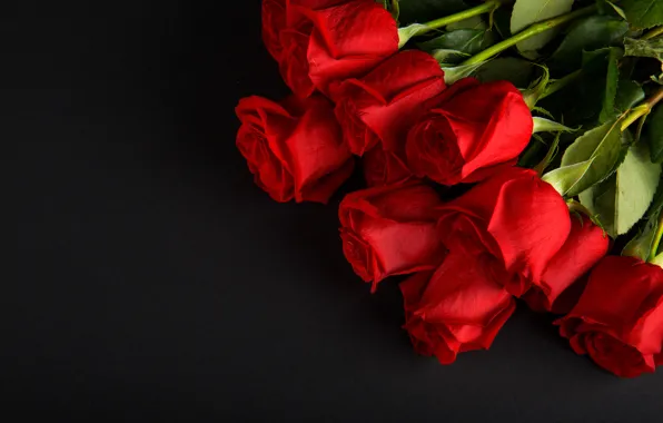 Картинка цветы, розы, букет, красные, red, бутоны, flowers, romantic, roses, bud
