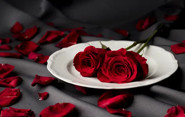 Картинка любовь, цветы, романтика, love, happy, flowers, romantic, 14 февраля, Valentine's Day, День Святого Валентина, petals, …