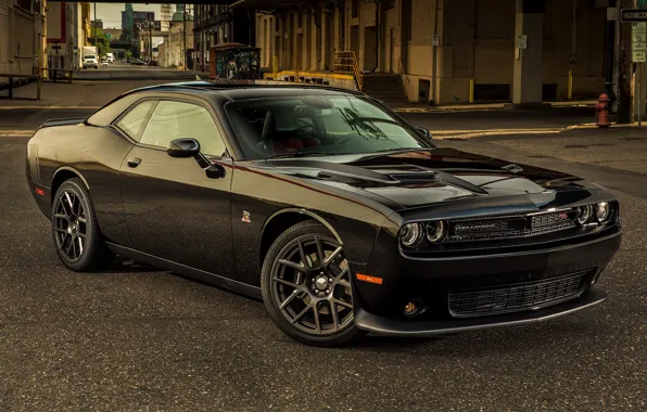 Картинка Dodge, Challenger, Dodge Challenger, Tuning, Muscle car, R/T, Scat Pack