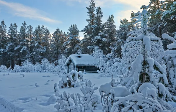 Картинка зима, снег, дом