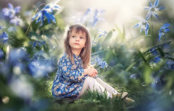 Картинка взгляд, цветы, природа, девочка, малышка, ребёнок, боке, Марта Козел