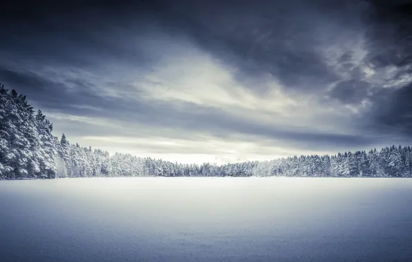 Картинка зима, поле, снег