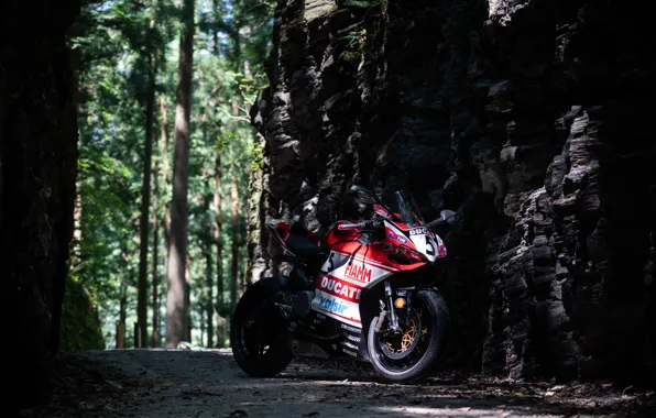 Картинка forest, ducati, panigale 899