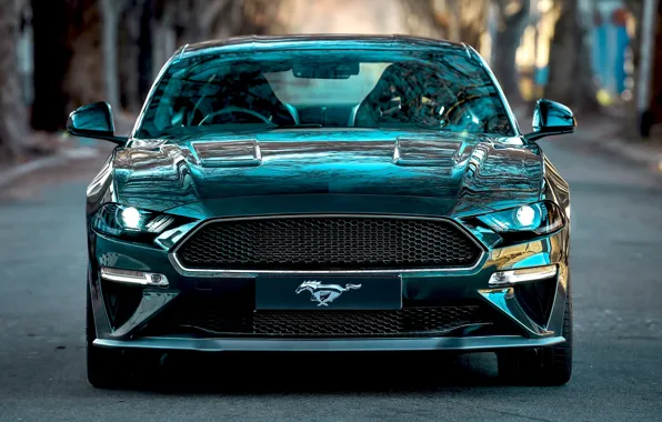 Картинка Mustang, Ford, вид спереди, Bullitt, 2019