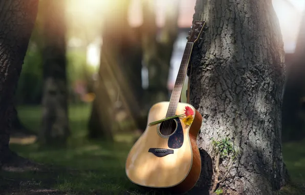 Картинка цветы, дерево, гитара