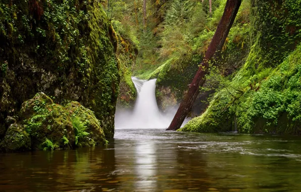 Картинка река, скалы, водопад, мох, Орегон, бревно, Oregon, Columbia River Gorge, Eagle Creek, Punch Bowl Falls, …