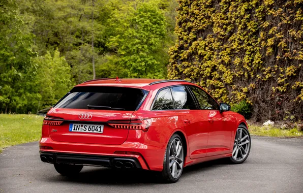 Картинка красный, Audi, растительность, сзади, универсал, 2019, A6 Avant, S6 Avant
