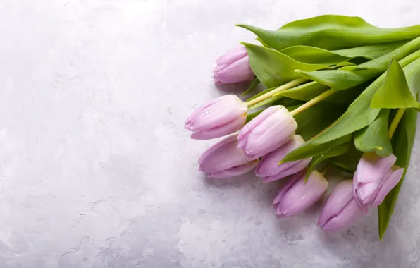 Картинка цветы, букет, тюльпаны, fresh, pink, flowers, сиреневые, tulips, spring, violet
