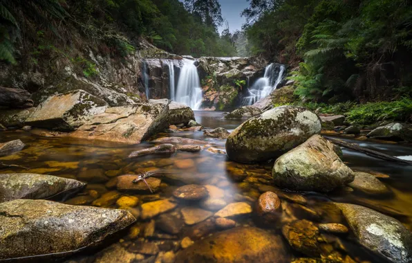 Картинка лес, камни, Австралия, водопады, река Tasmania