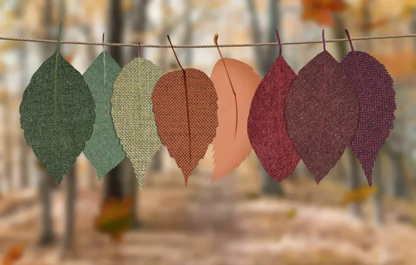 Картинка осень, листья, парк, веревка, ткань, боке, осенние листья, из ткани