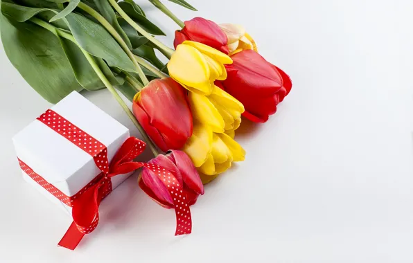 Картинка праздник, подарок, букет, тюльпаны, красные