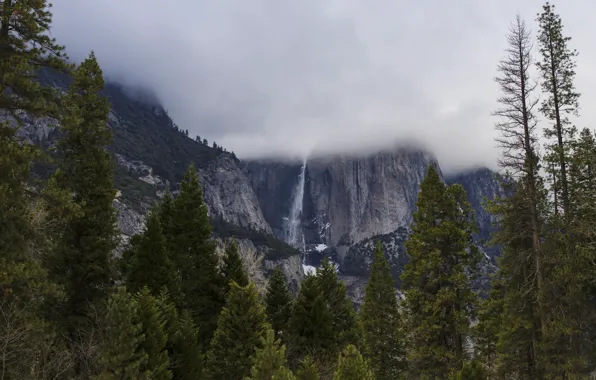 Картинка небо, деревья, горы, тучи, природа, скалы, водопад, США, Йосемити