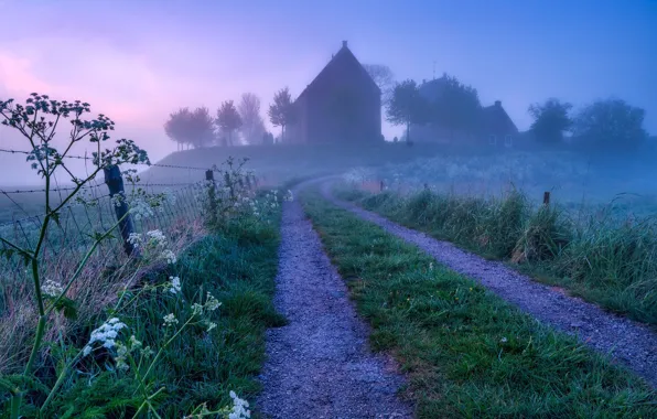 Картинка дорога, туман, дом, забор, утро