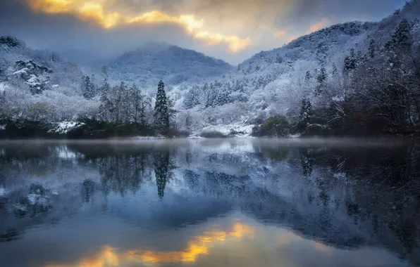Картинка зима, лес, пейзаж, горы, природа, озеро, Южная Корея, Jae youn Ryu