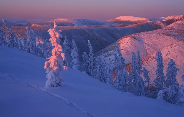Картинка зима, снег, пейзаж, закат, горы, природа, леса, Якутия, Владимир Рябков