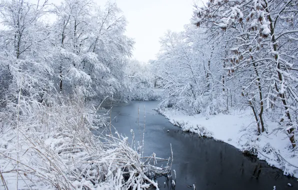 Картинка зима, снег, деревья, пейзаж, река, white, river, landscape, winter, snow, tree