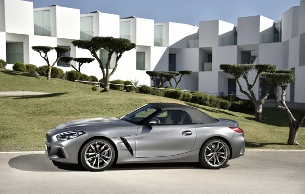 Картинка серый, газон, здание, BMW, родстер, BMW Z4, M40i, Z4, мягкий верх, 2019, G29