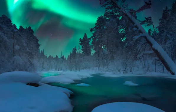 Картинка зима, лес, ночь, северное сияние, сосны, водоем