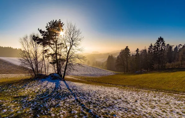 Картинка зима, иней, деревья, природа
