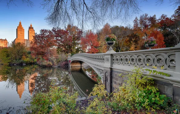 Картинка осень, пейзаж, природа, город, пруд, парк, Нью-Йорк, США, мостик, Центральный парк
