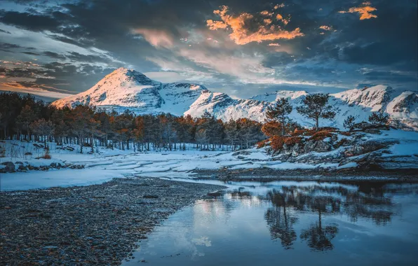 Картинка зима, вода, снег, деревья, горы, Норвегия, Тодор Божков