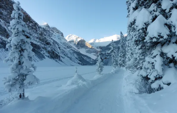 Картинка зима, дорога, снег, деревья, горы, ели, Канада, Альберта, Banff National Park, Alberta, Canada, Скалистые горы, …