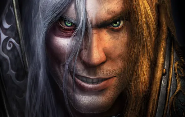 Картинка Lich King, Warcraft, Blizzard, Артас, Arthas Menethil, Артас Менетил, Warcraft III: Reign of Chaos, Warcraft …