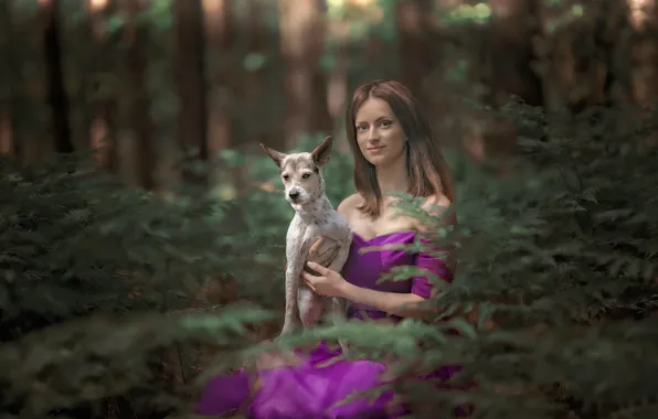 Картинка лес, девушка, собака