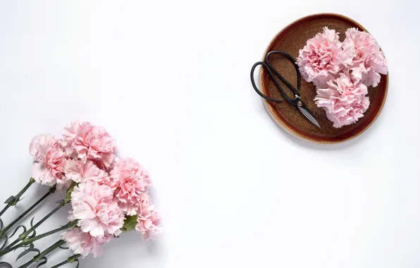 Картинка цветы, розовые, wood, pink, гвоздика, flowers